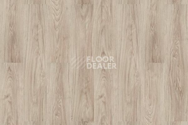 Виниловая плитка ПВХ FORBO Allura Decibel 8WAU01-3WAU01 pale authentic oak фото 1 | FLOORDEALER